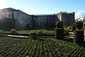 Saint Barbara's garden