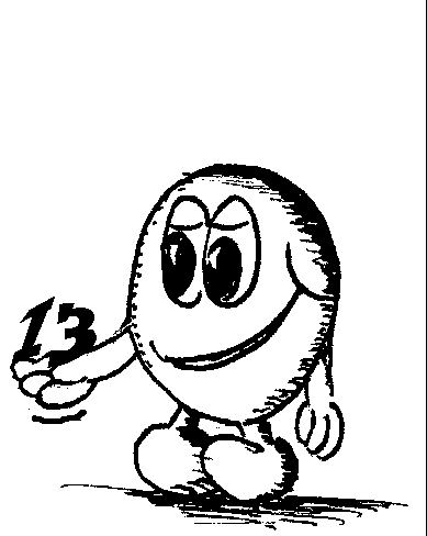 Seite 13