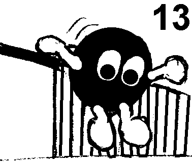 Seite 13
