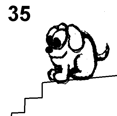 Seite 35