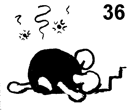 Seite 36