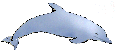 Flipper