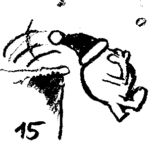 Seite 15